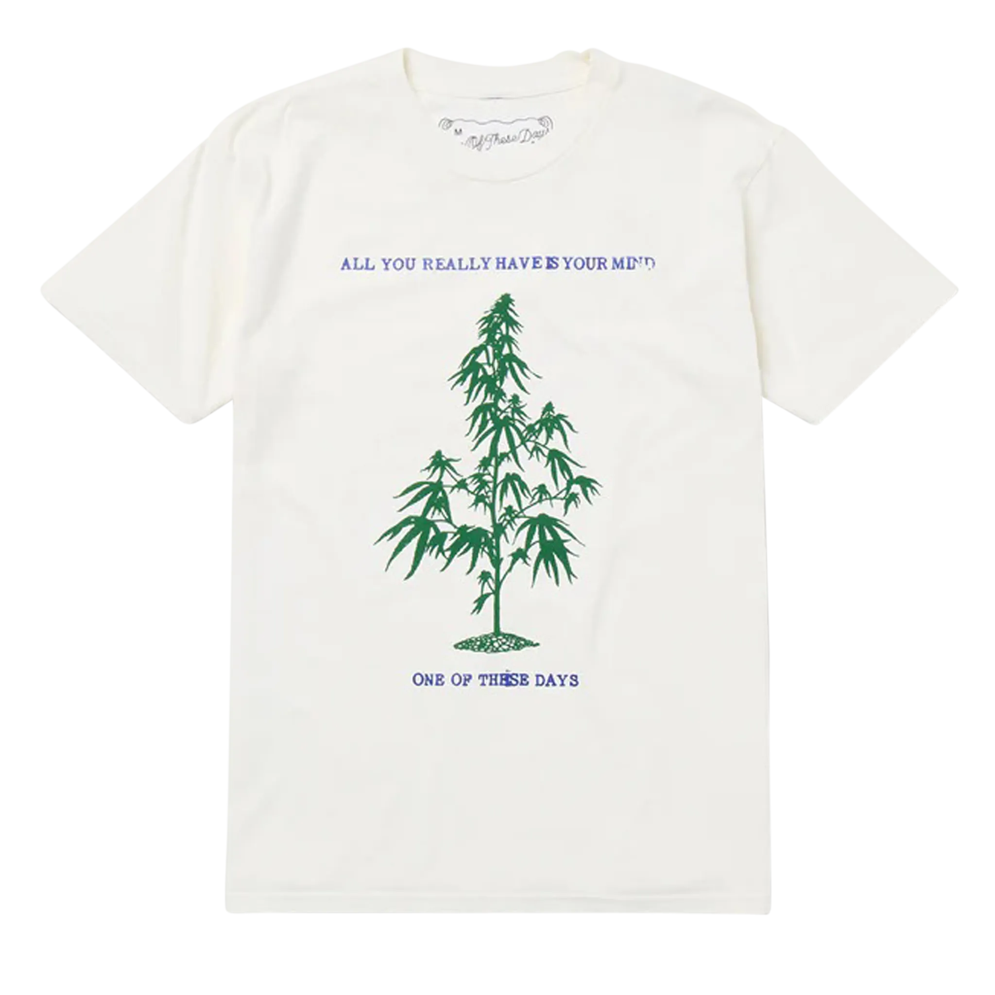 All You Really Have Is Your Mind T-Shirt