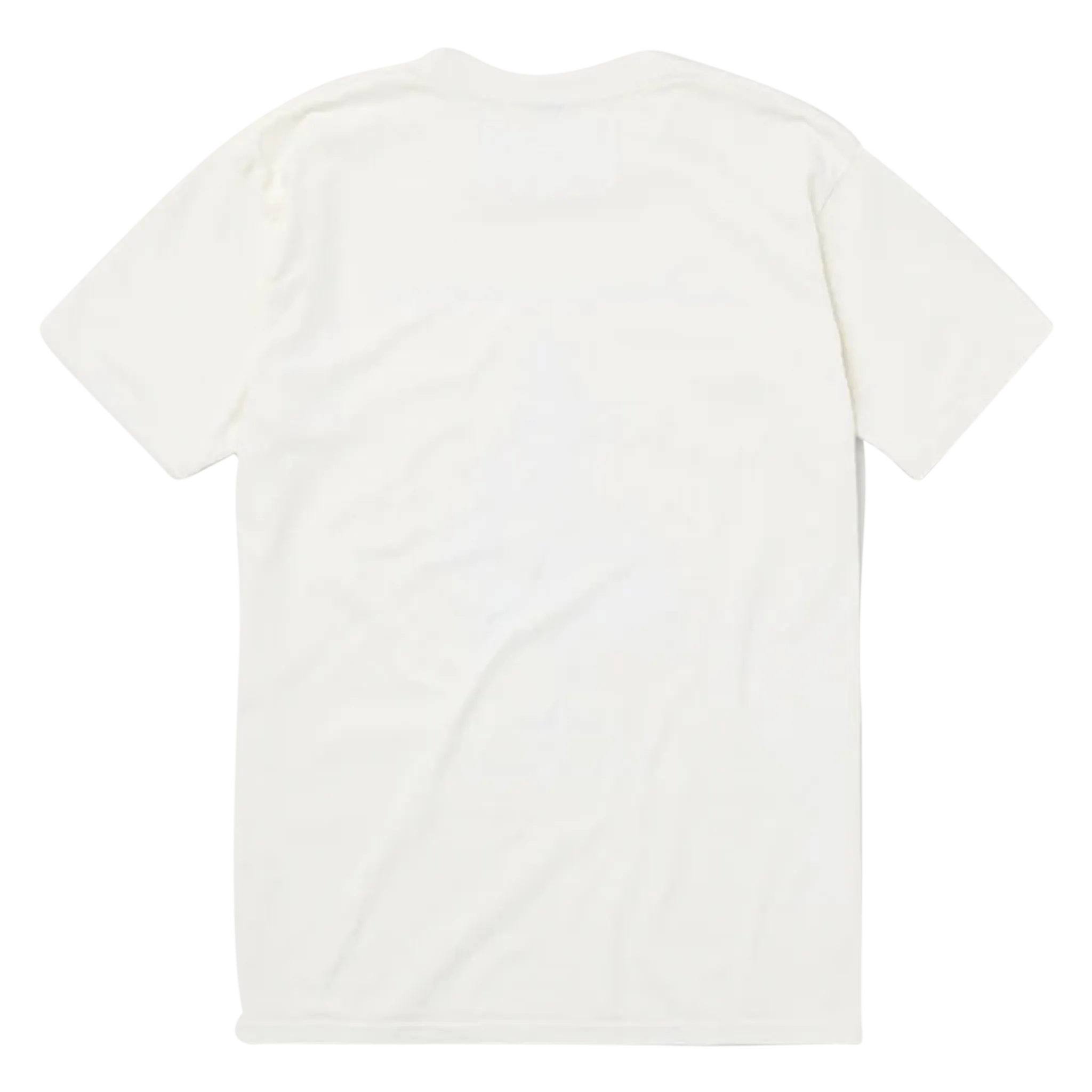 All You Really Have Is Your Mind T-Shirt