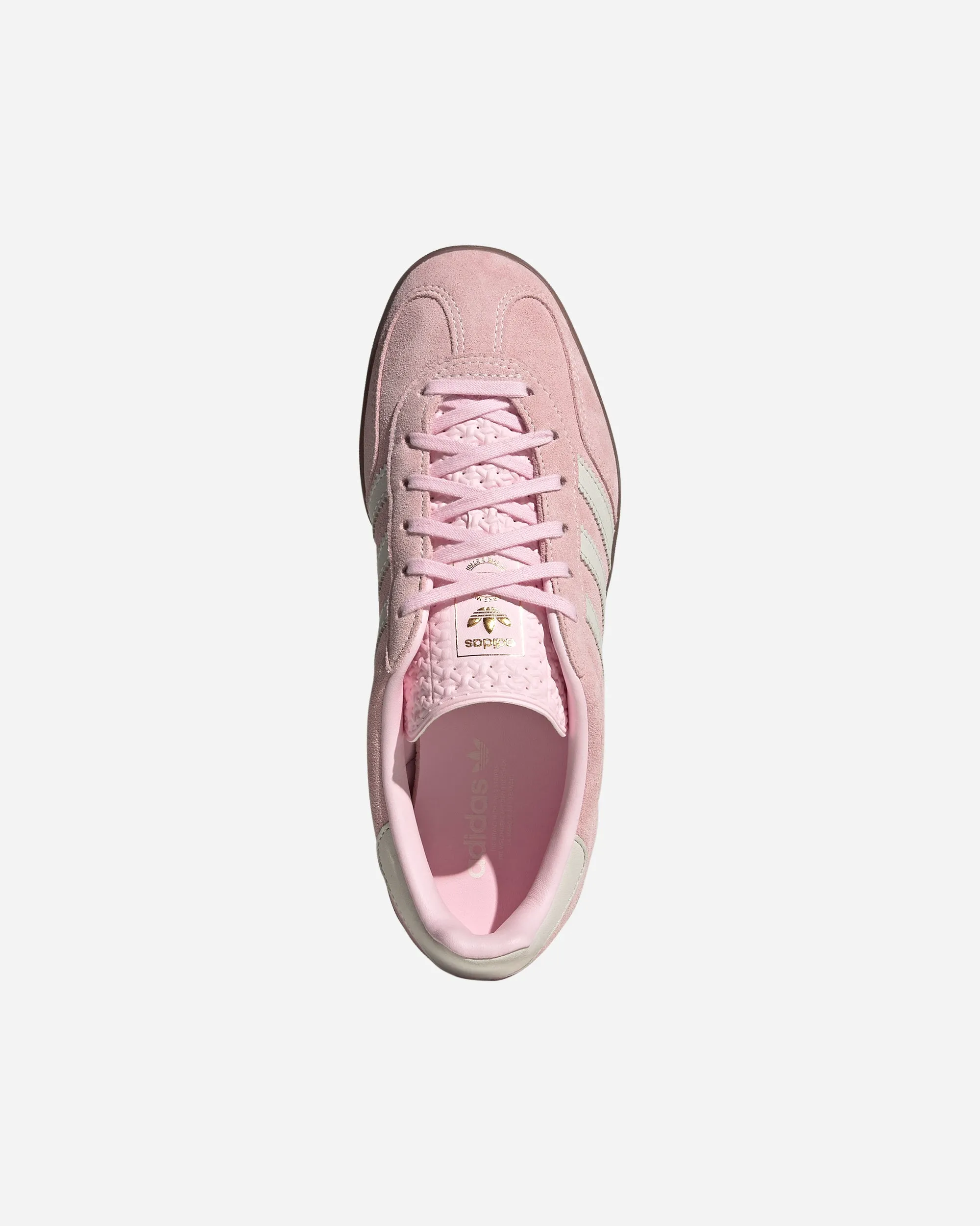 Gazelle Indoor