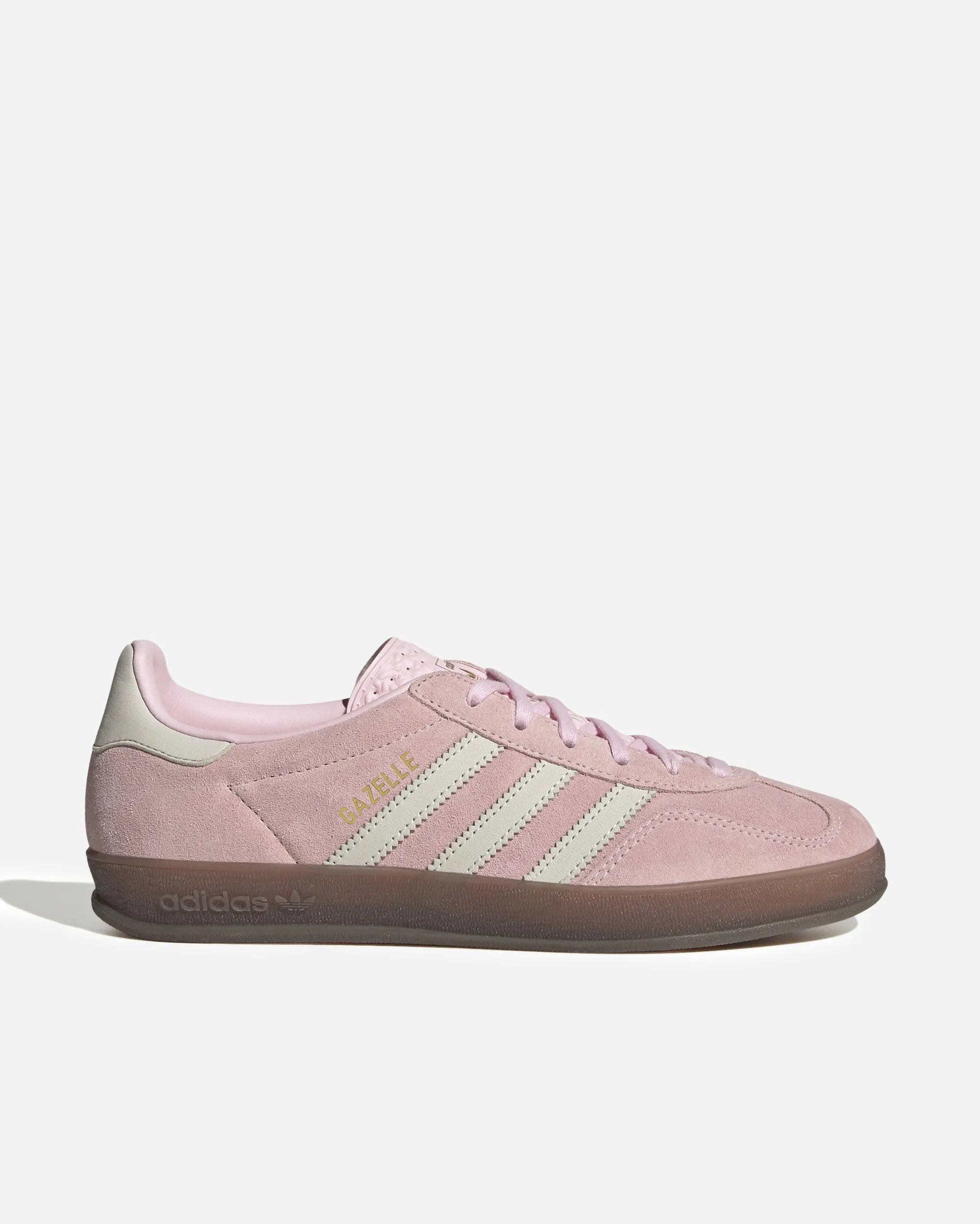 Gazelle Indoor