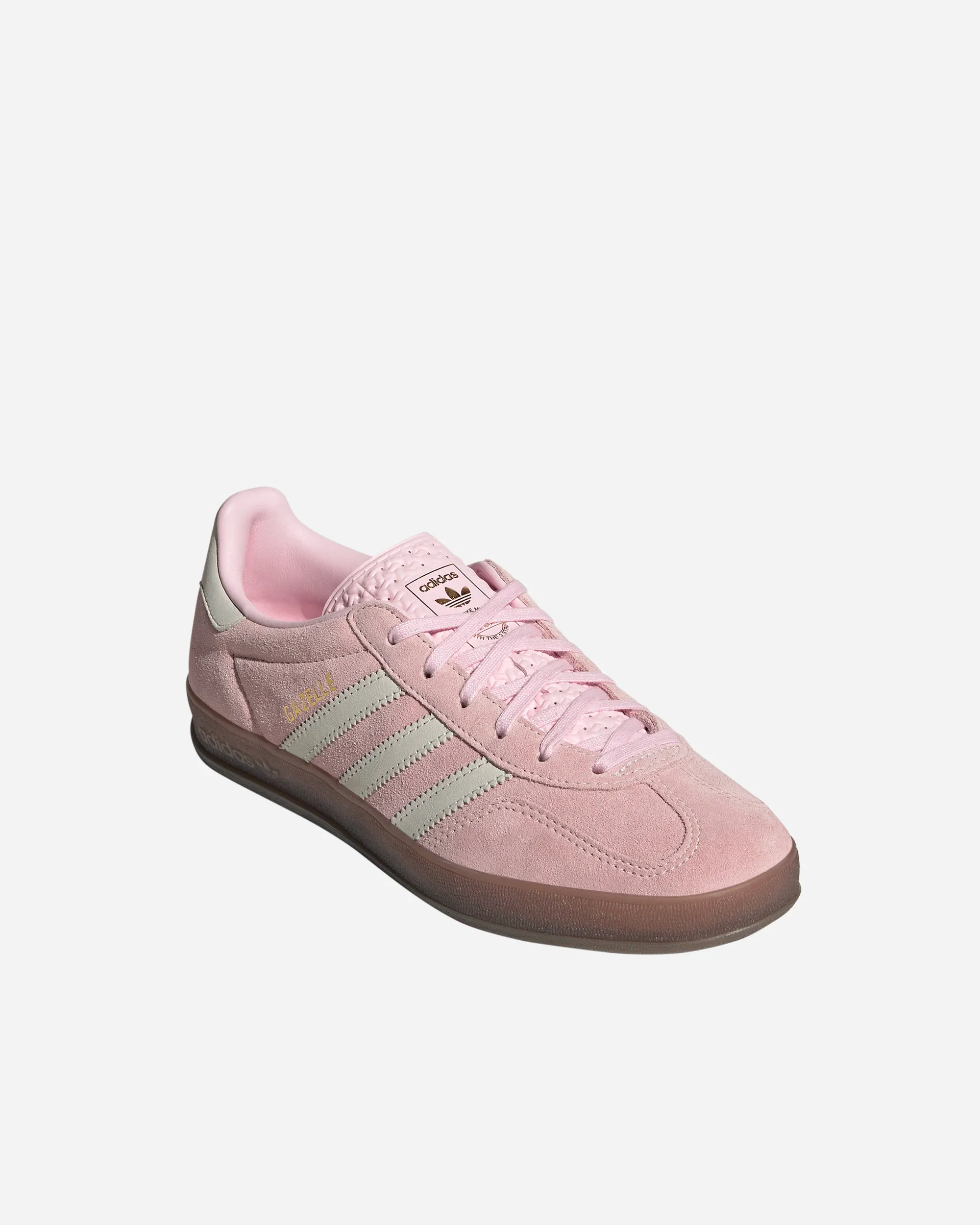 Gazelle Indoor