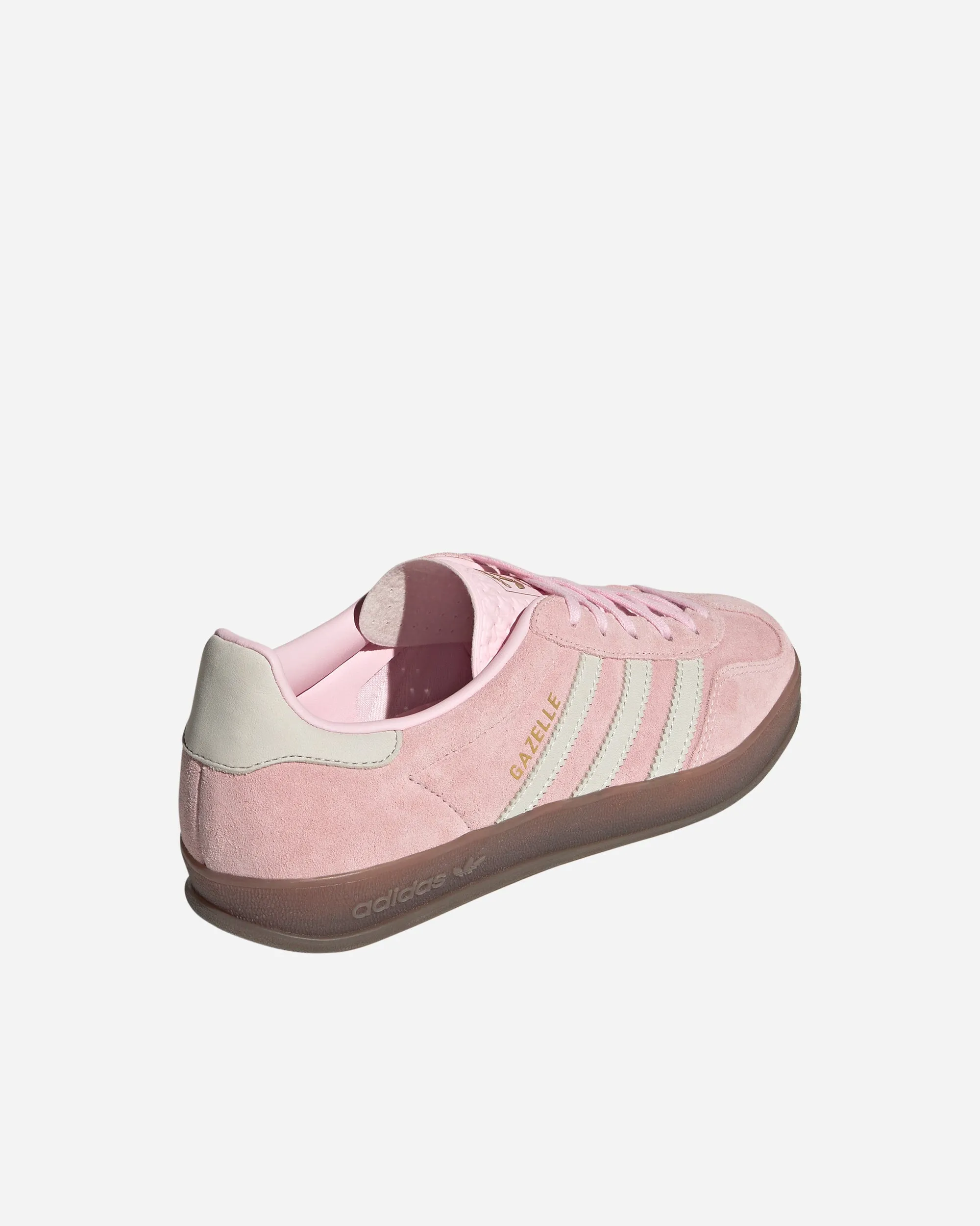 Gazelle Indoor