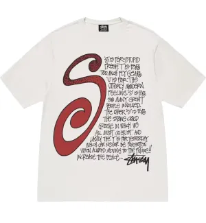 Stussy S Talk Pigment Dyed Tee (White)