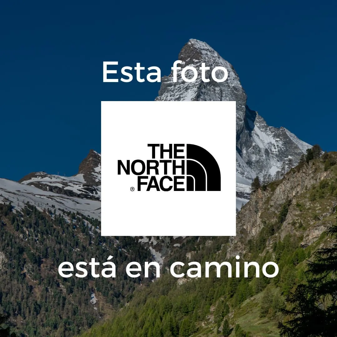 THE NORTH FACE MEN'S ESSENTIAL REGULAR POLO | POLO CASUAL Y VERSTIL