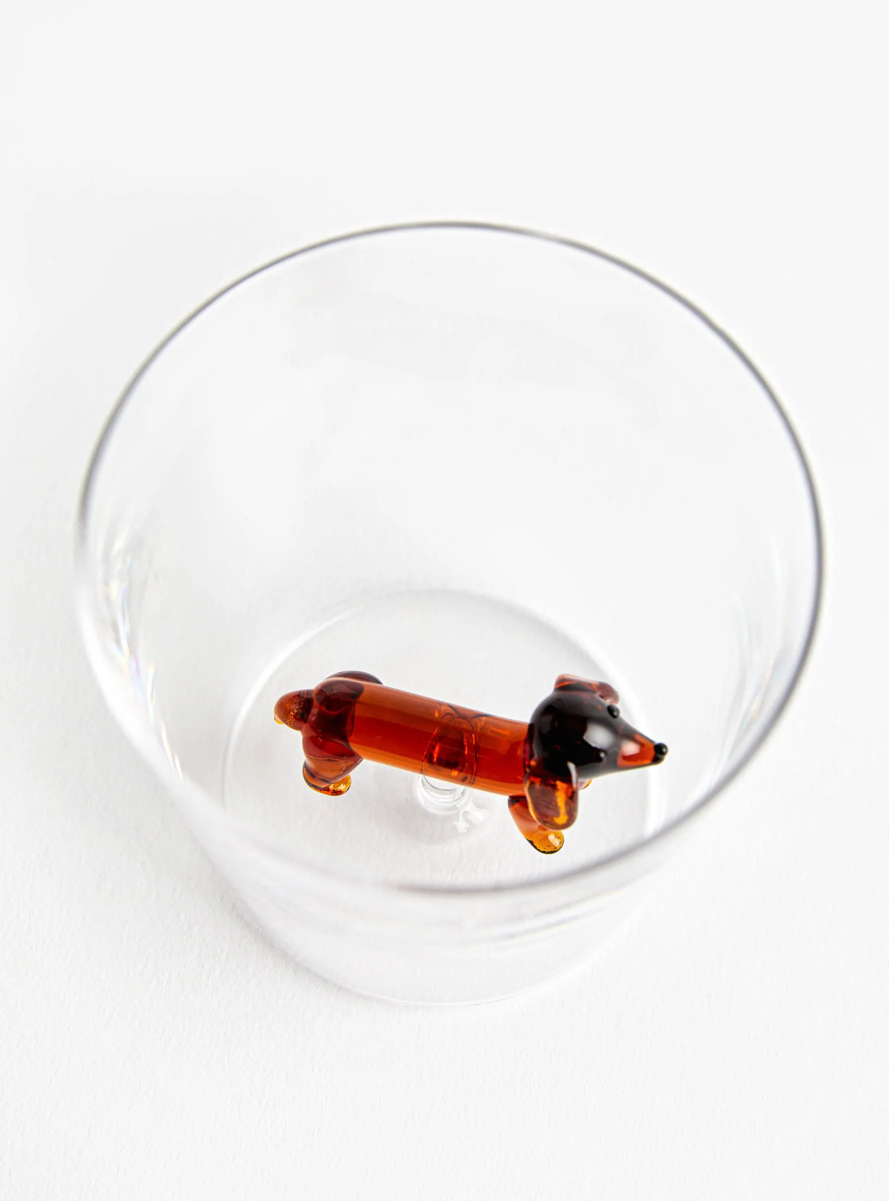 Tumbler Bassotto