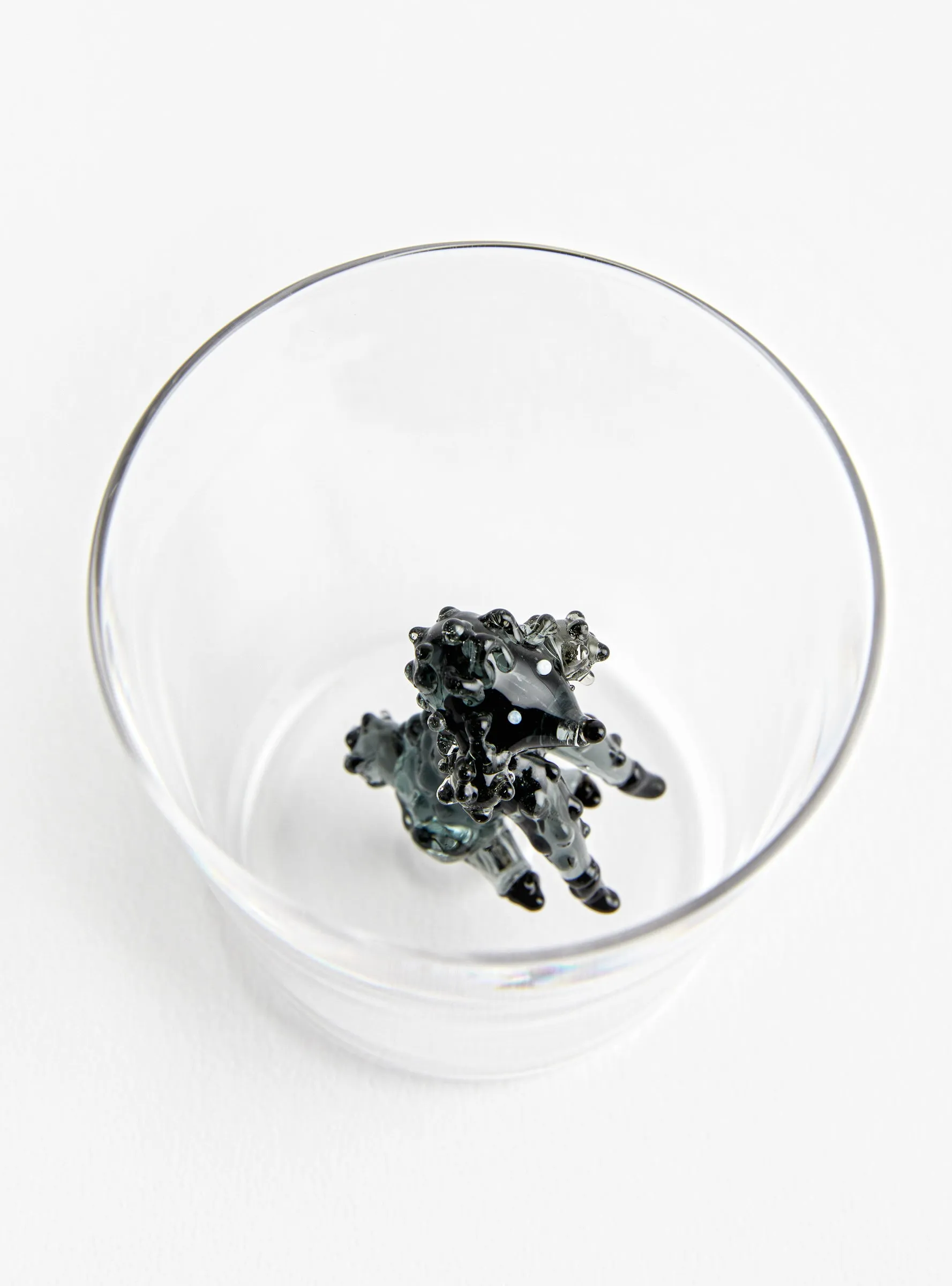 Tumbler Poodle